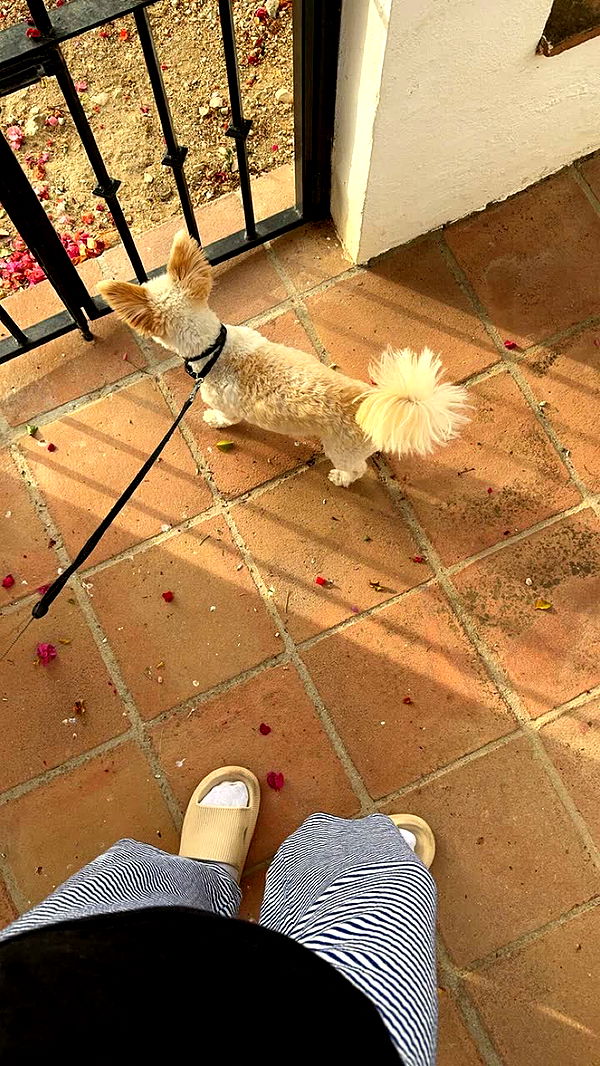 mathilda_bergs image ~ Altpins