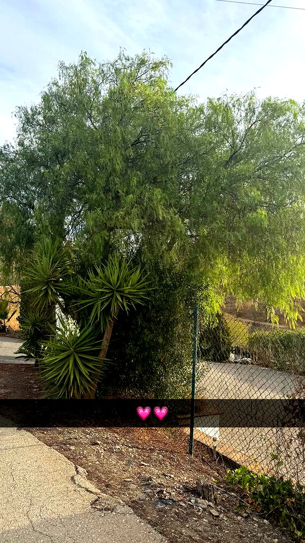 mathilda_bergs image ~ Altpins