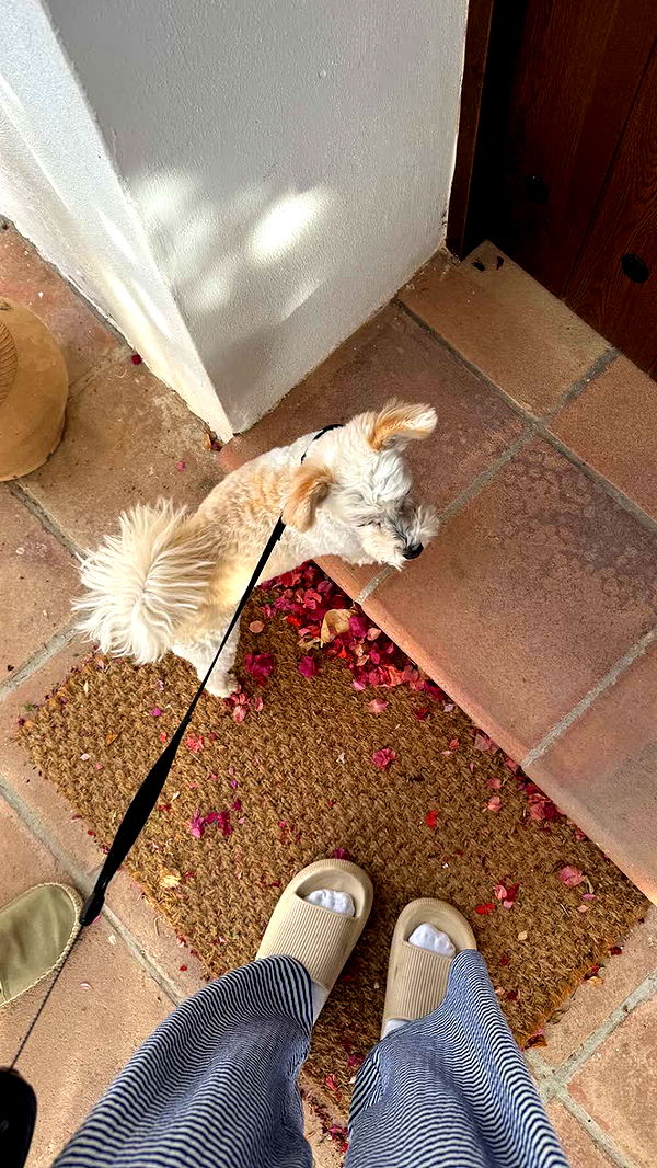 mathilda_bergs image ~ Altpins