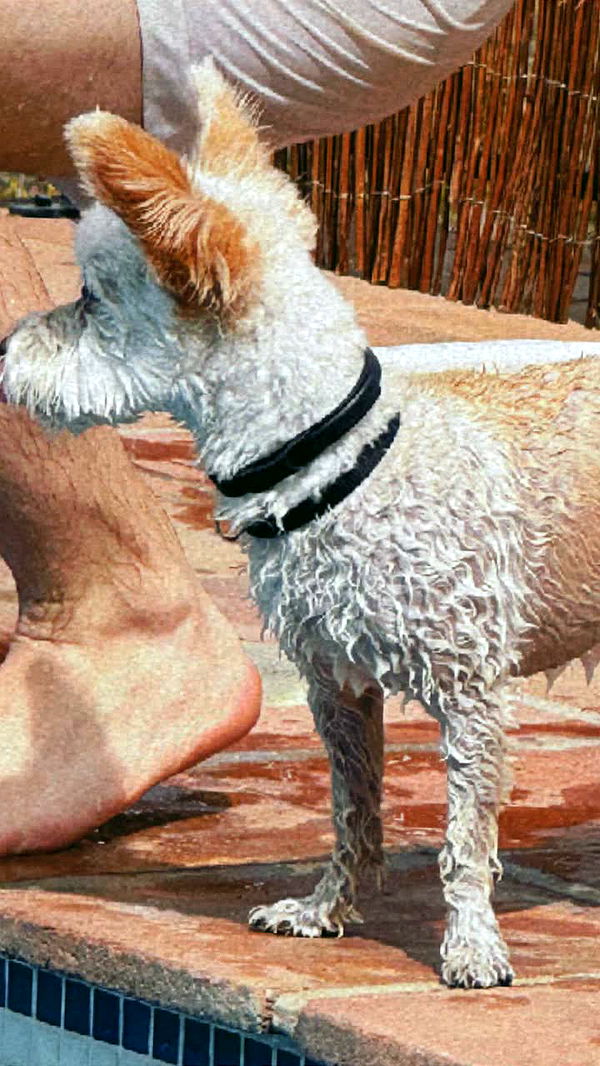 mathilda_bergs image ~ Altpins