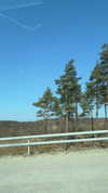 mathilda_bergs Altpins Profile Picture