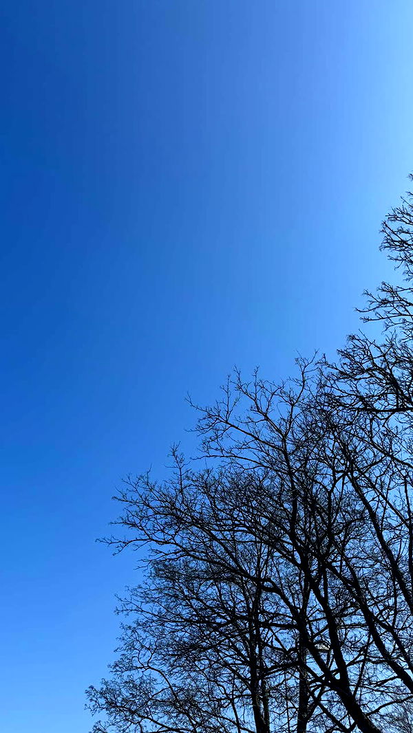 mathilda_bergs image ~ Altpins