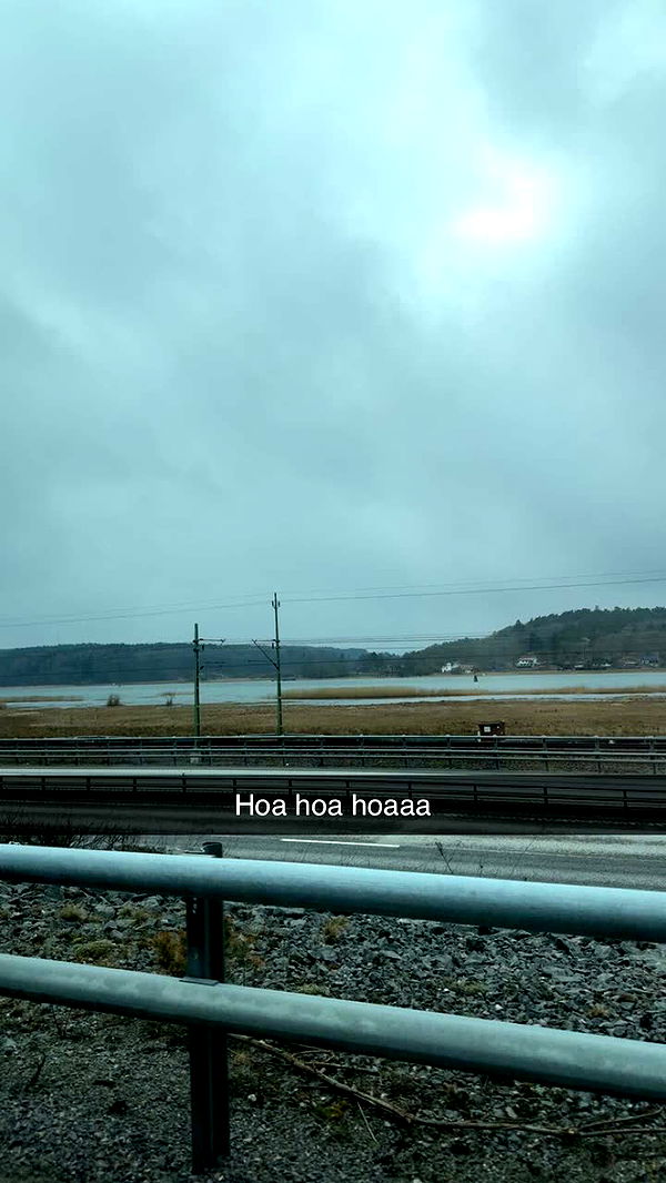 mathilda_bergs image ~ Altpins