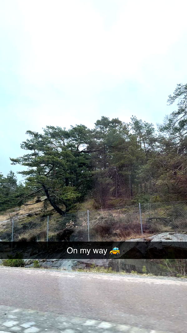 mathilda_bergs image ~ Altpins