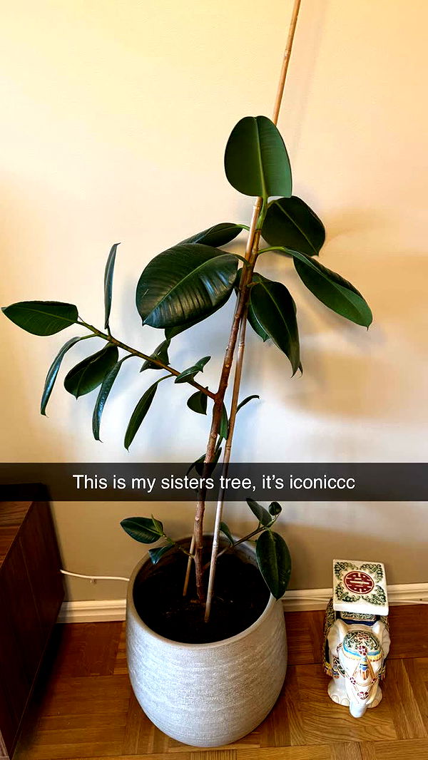 mathilda_bergs image ~ Altpins