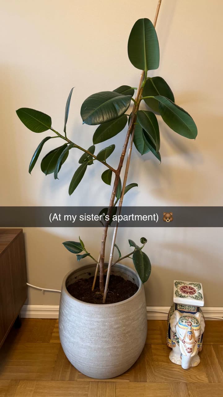 mathilda_bergs snapchat image archive image