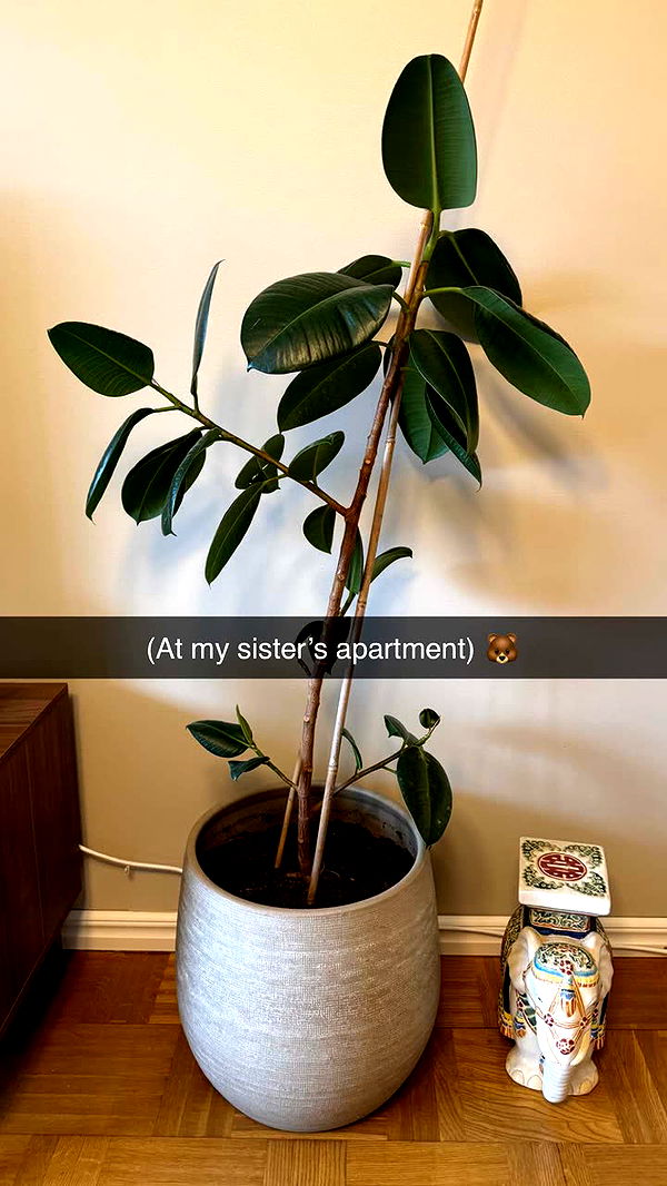 mathilda_bergs image ~ Altpins