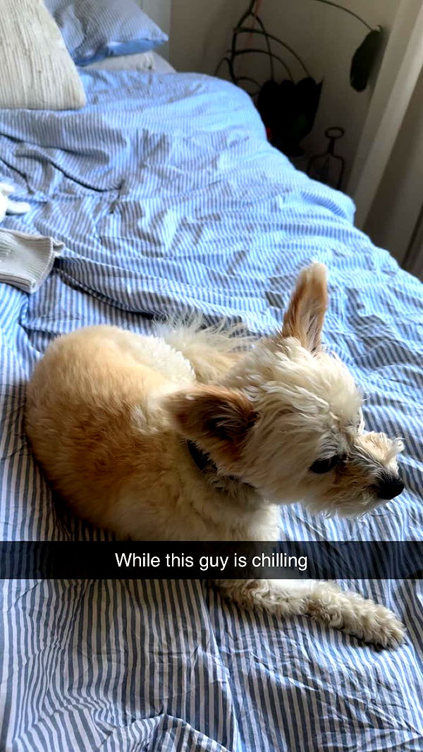 mathilda_bergs image ~ Altpins