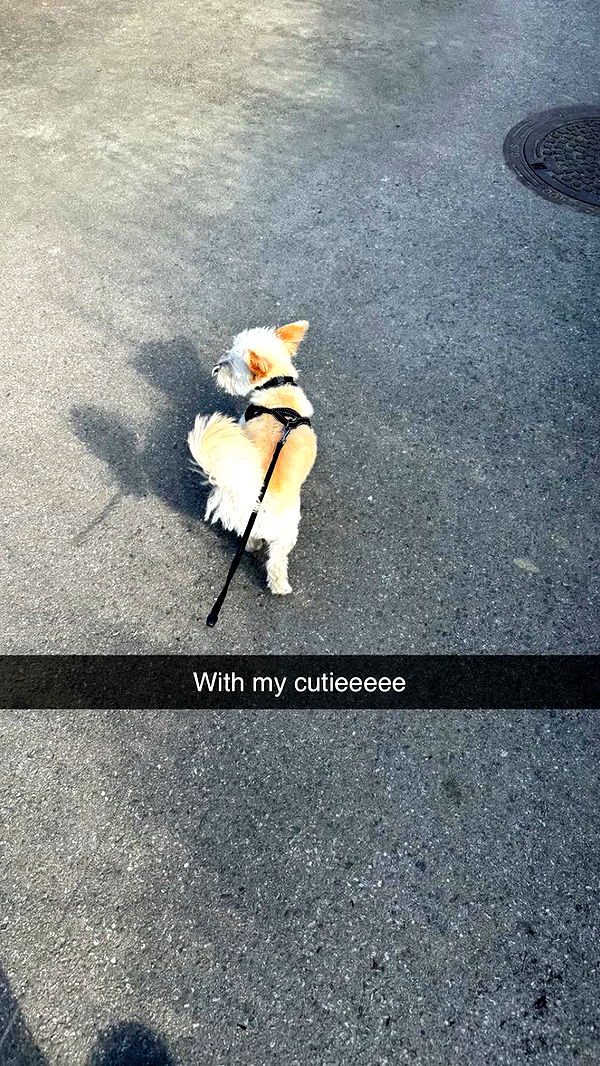 mathilda_bergs image ~ Altpins