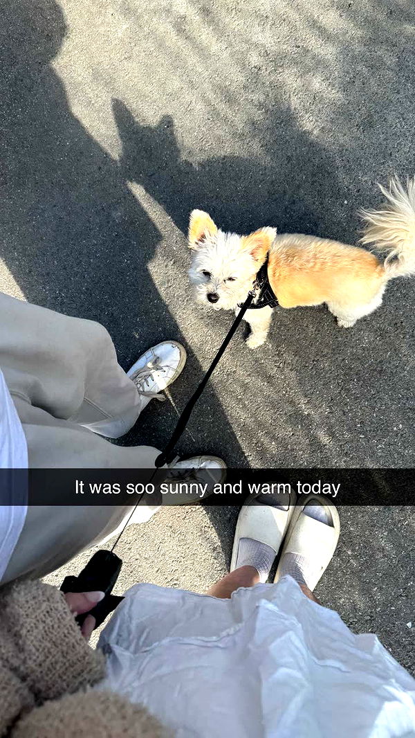 mathilda_bergs image ~ Altpins