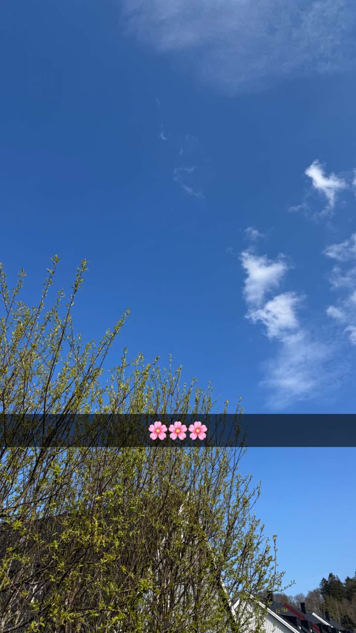 mathilda_bergs snapchat image archive image