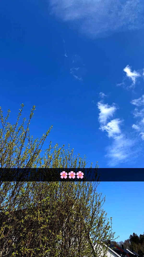 mathilda_bergs image ~ Altpins