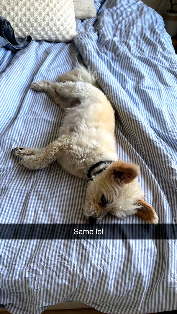 mathilda_bergs image ~ Altpins