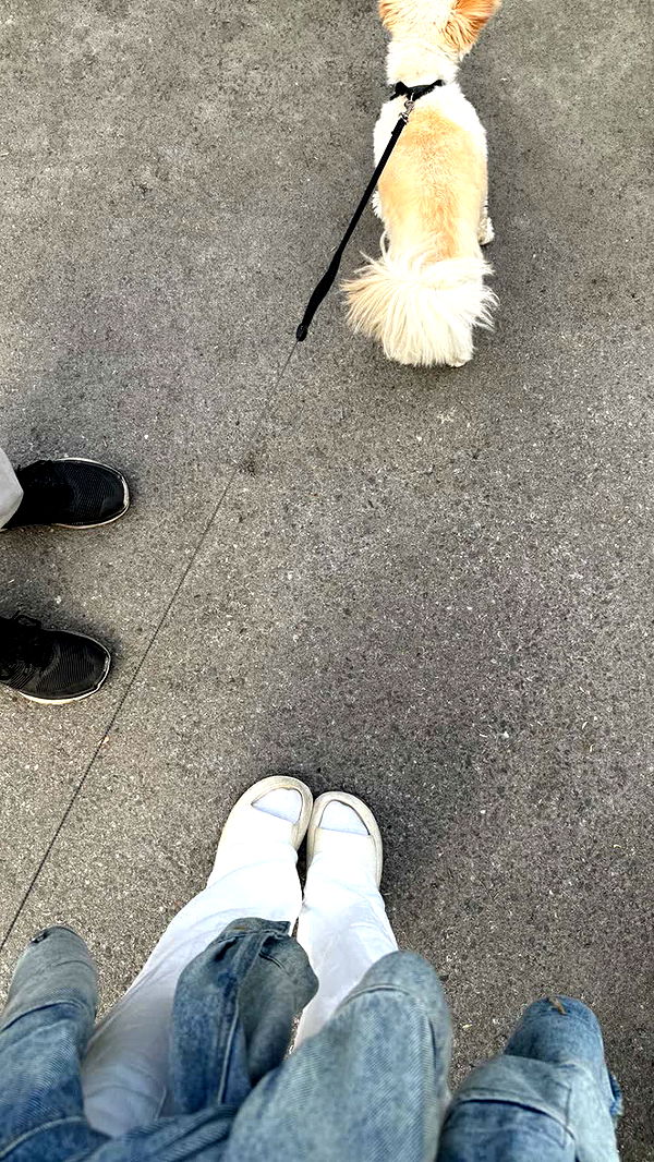 mathilda_bergs image ~ Altpins