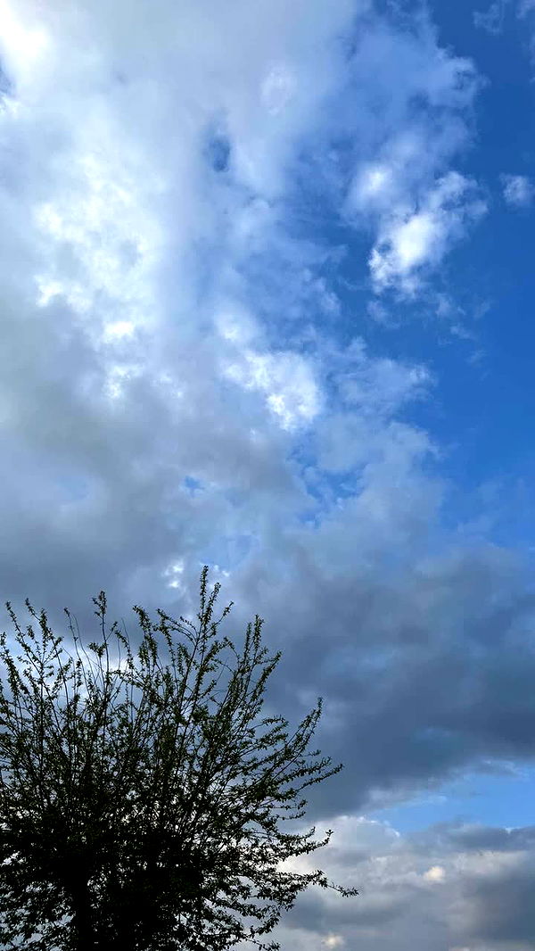 mathilda_bergs image ~ Altpins