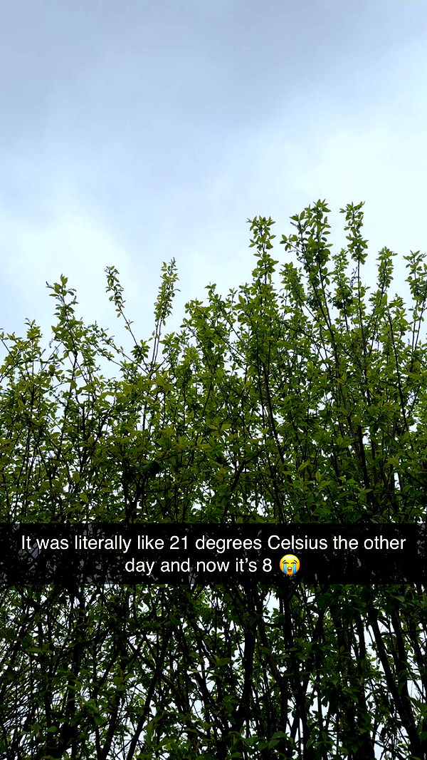 mathilda_bergs image ~ Altpins