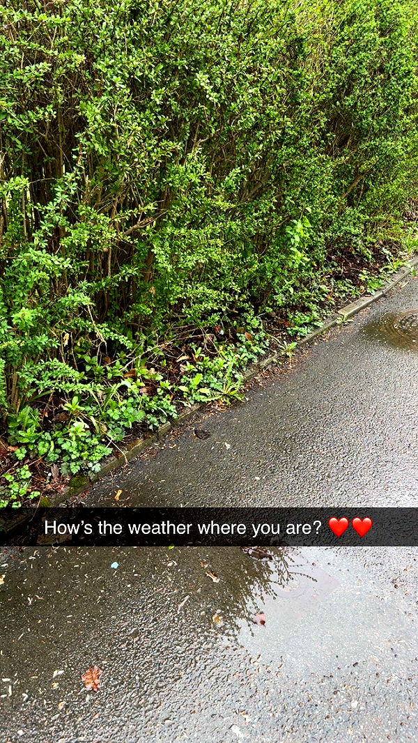 mathilda_bergs image ~ Altpins