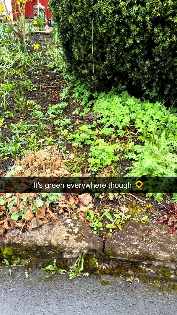 mathilda_bergs image ~ Altpins