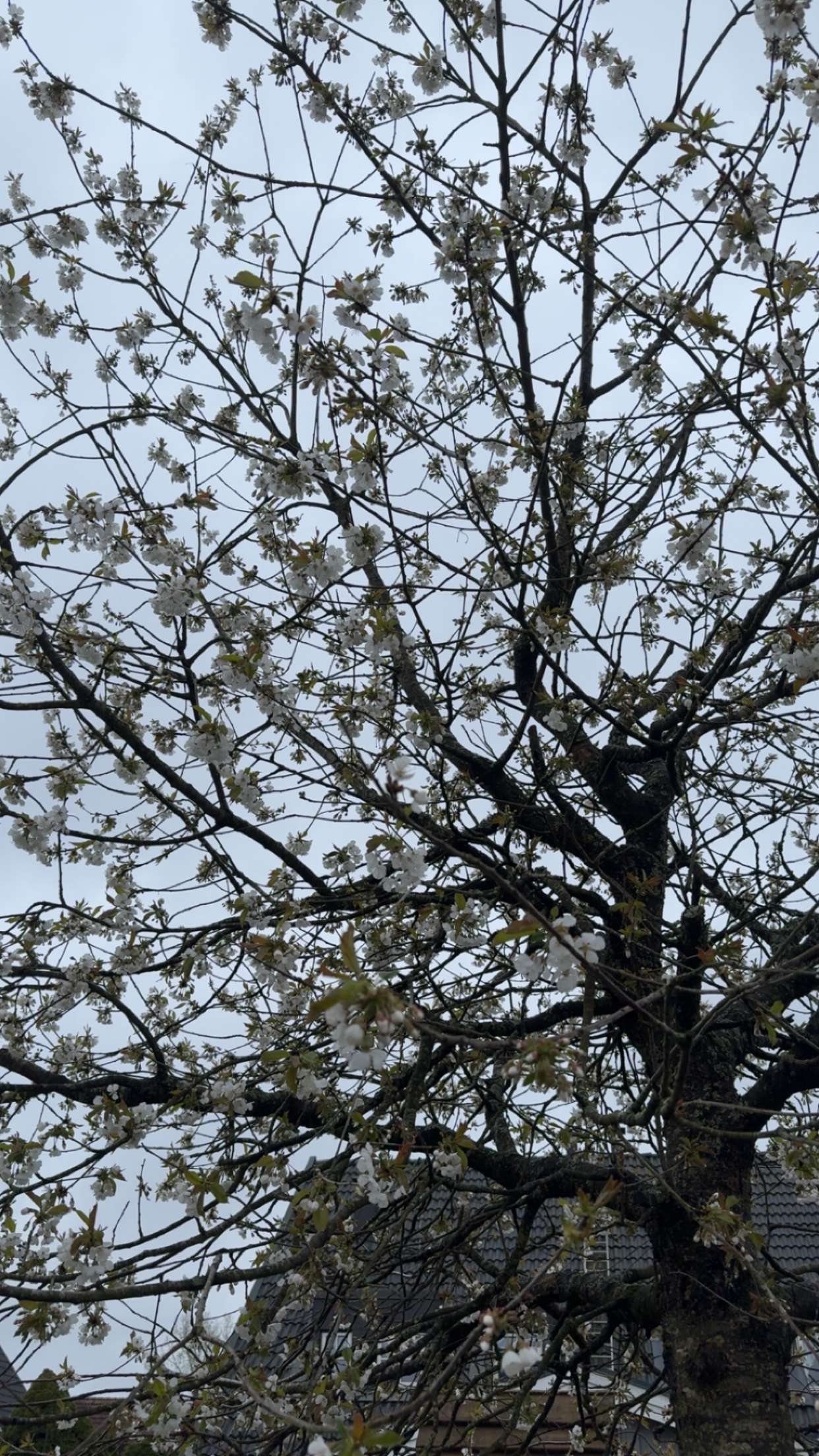 mathilda_bergs snapchat image archive image