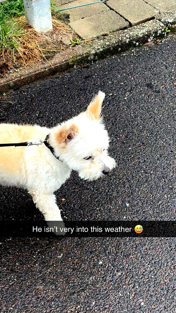 mathilda_bergs image ~ Altpins