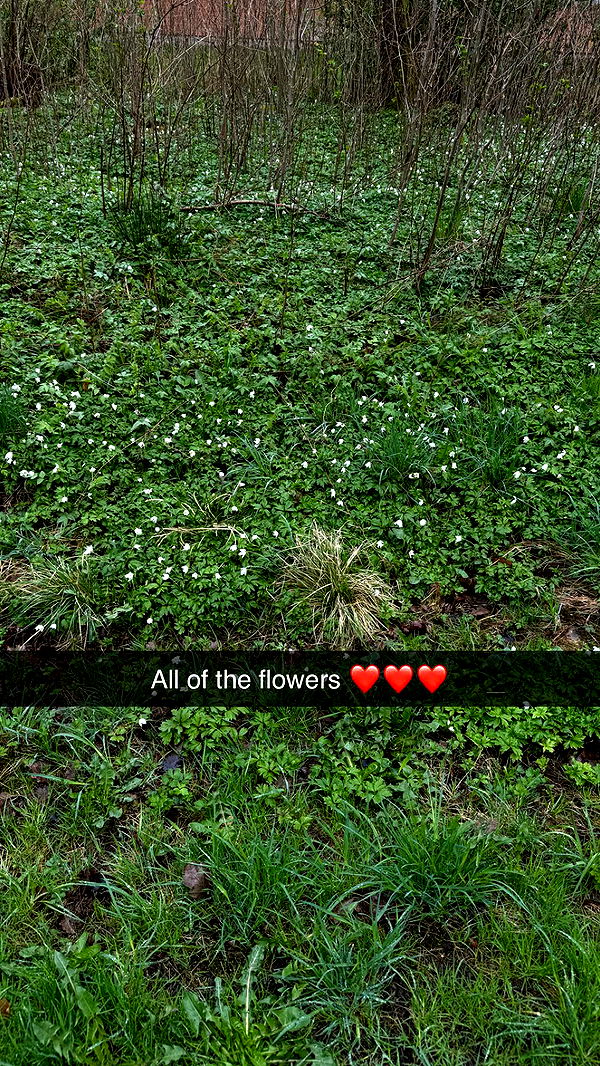 mathilda_bergs image ~ Altpins