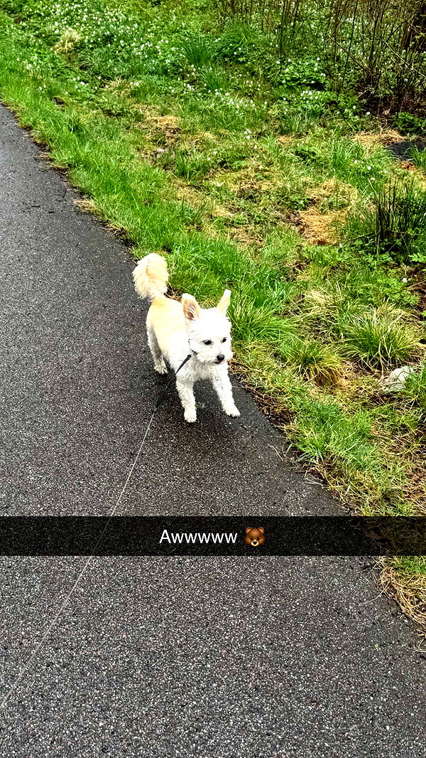 mathilda_bergs image ~ Altpins