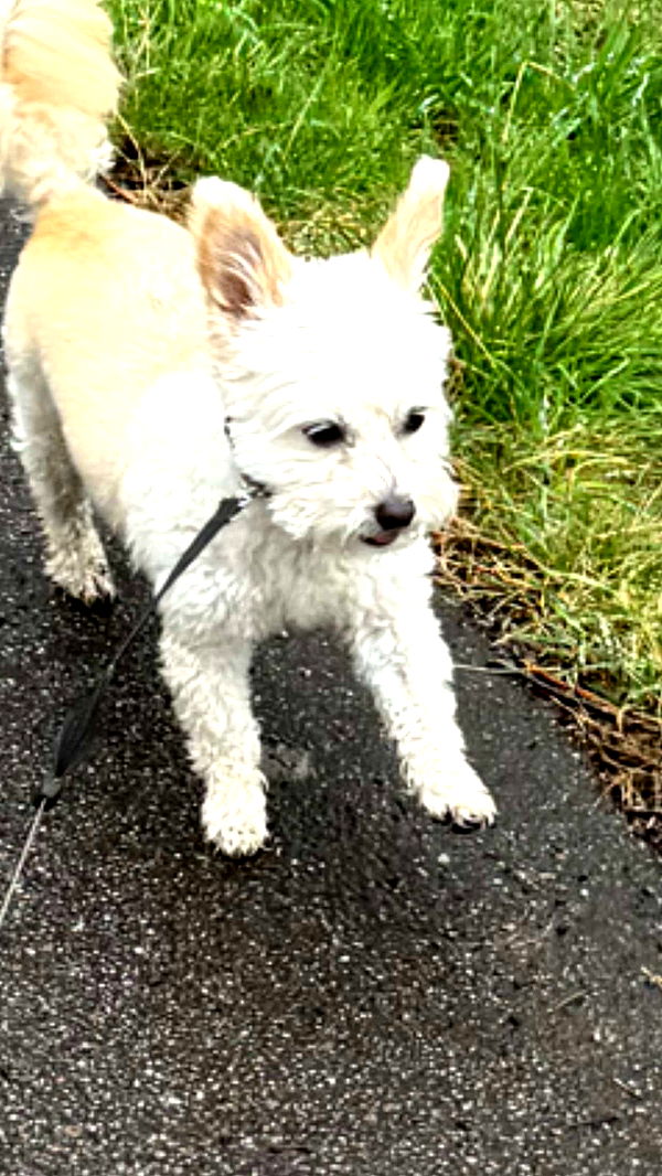 mathilda_bergs image ~ Altpins