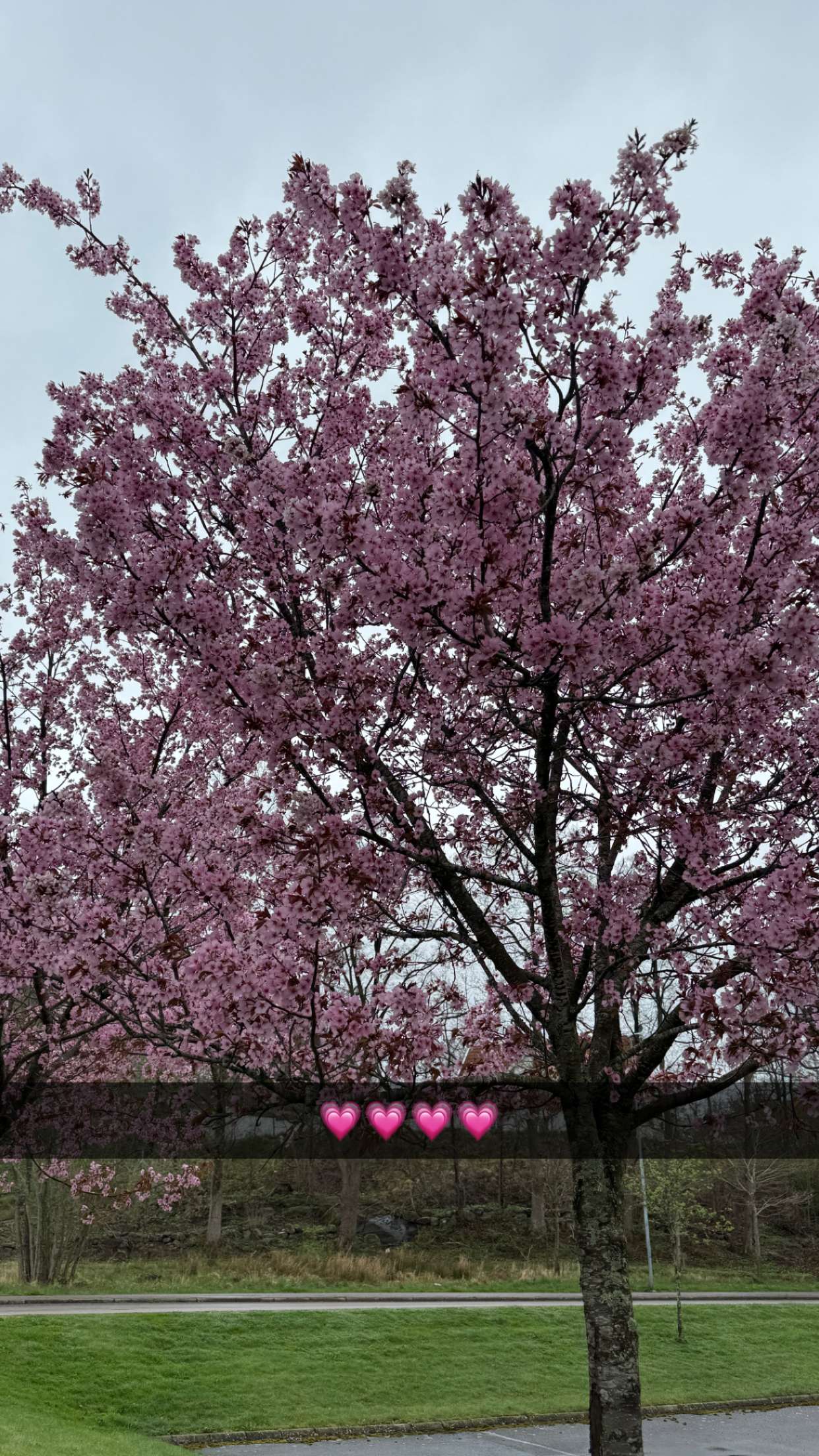 mathilda_bergs snapchat image archive image