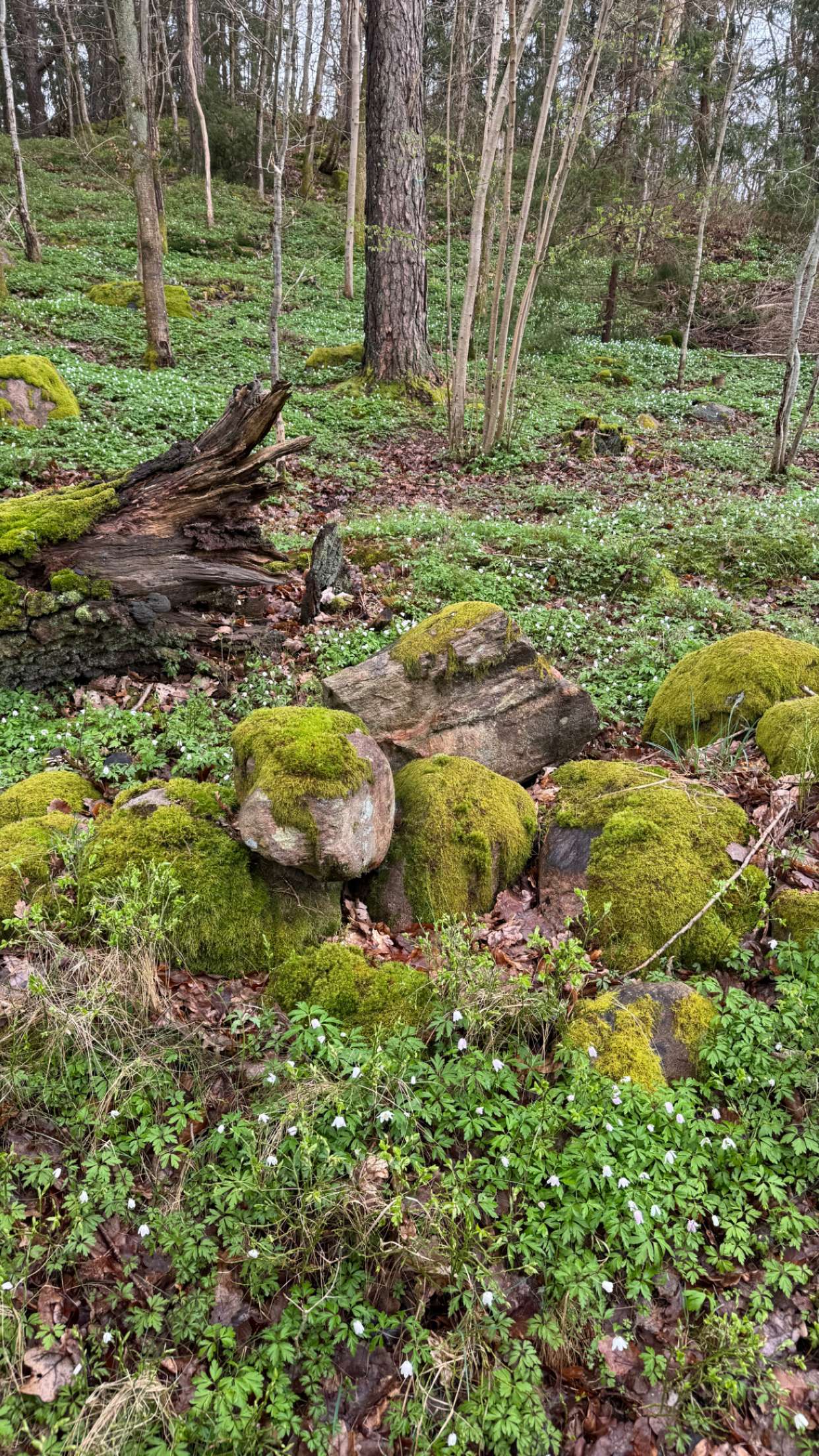 mathilda_bergs snapchat image archive image