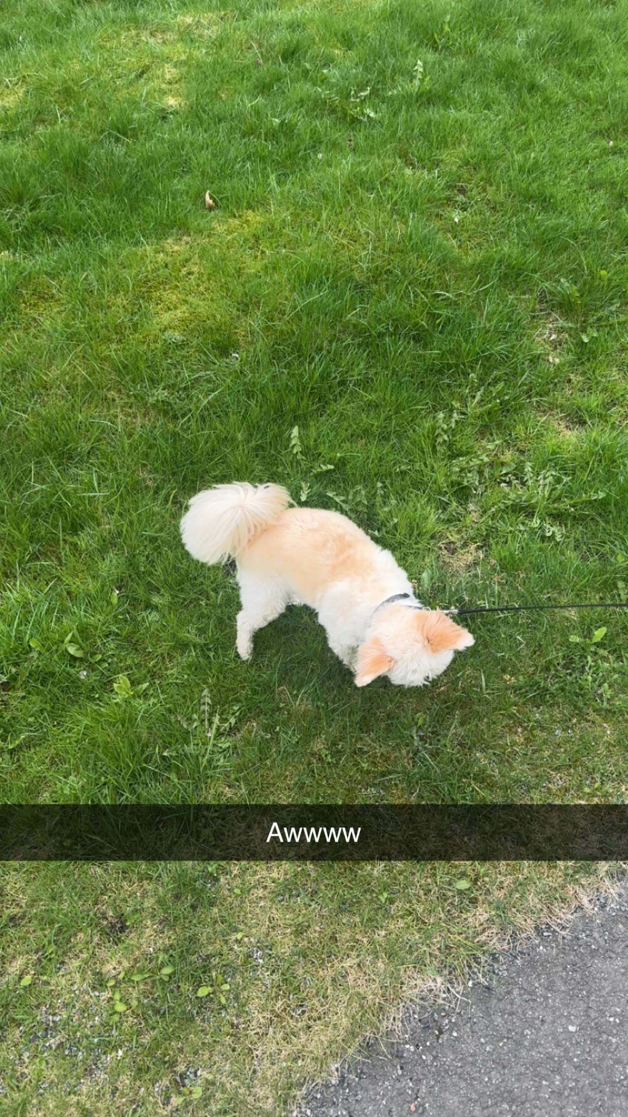 mathilda_bergs snapchat image archive image