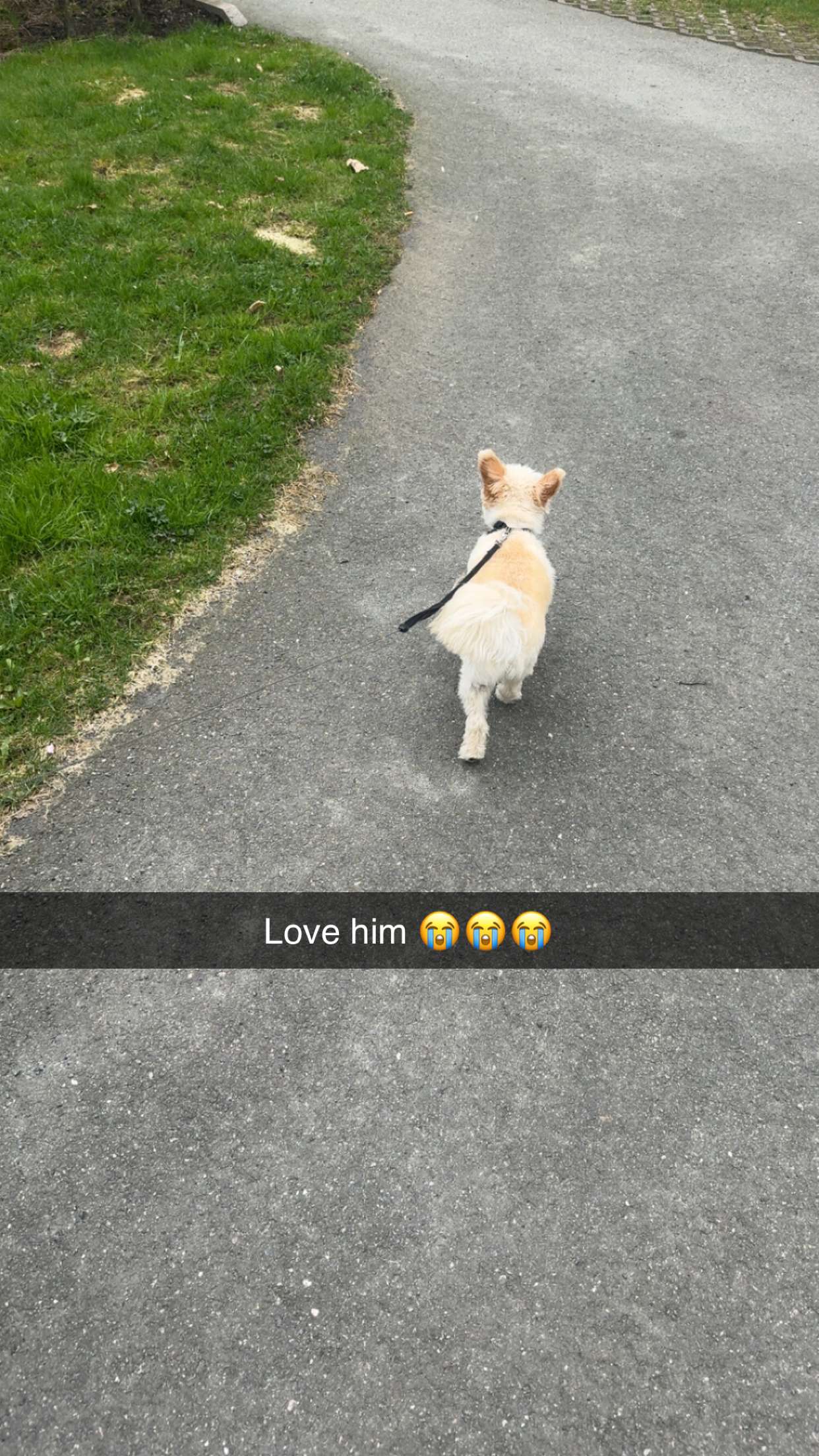 mathilda_bergs snapchat image archive image