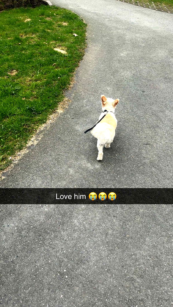 mathilda_bergs image ~ Altpins