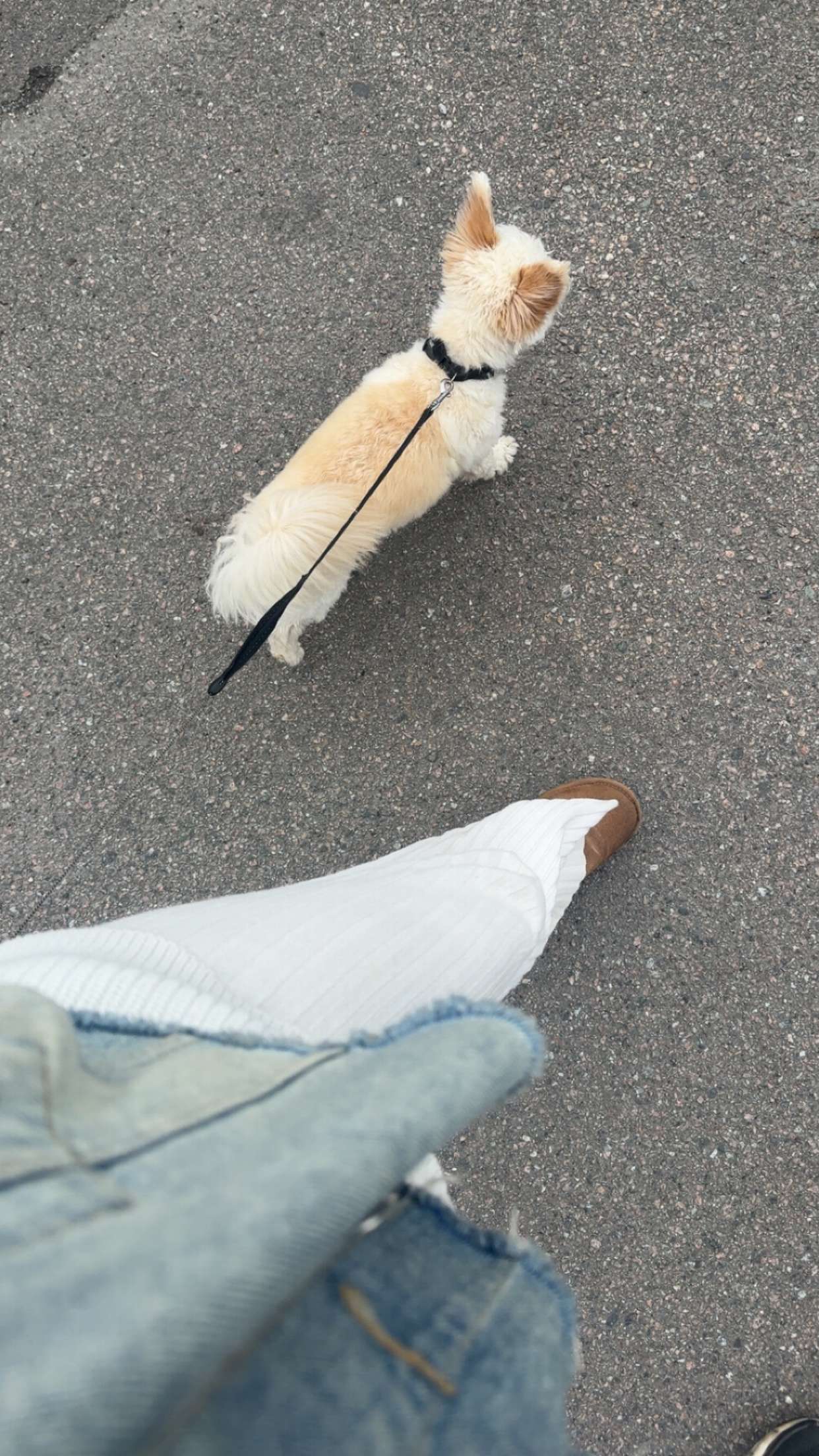 mathilda_bergs snapchat image archive image