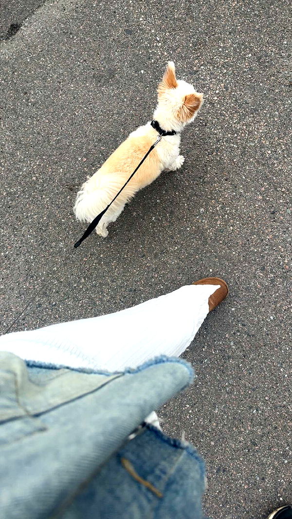 mathilda_bergs image ~ Altpins