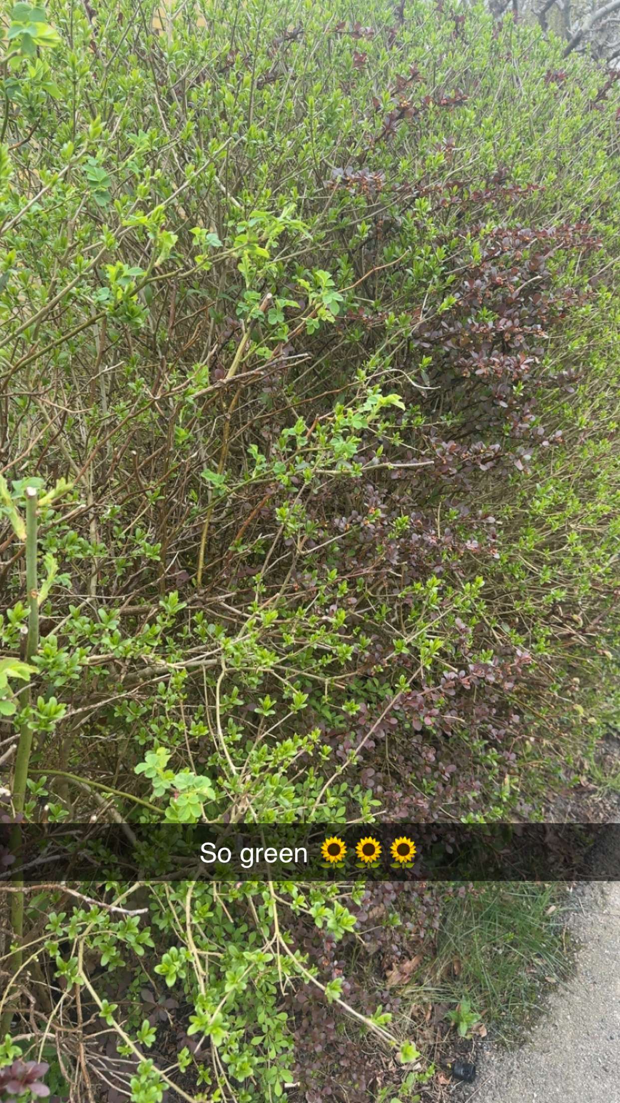 mathilda_bergs snapchat image archive image