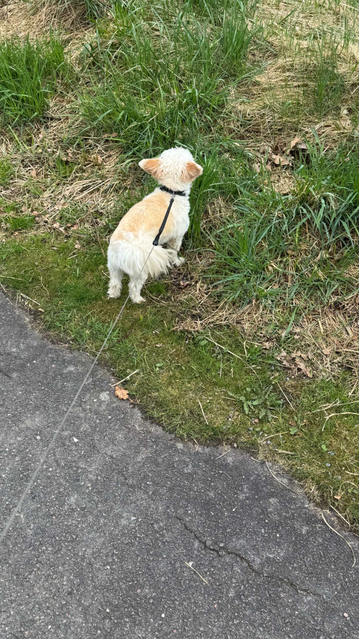 mathilda_bergs snapchat image archive image