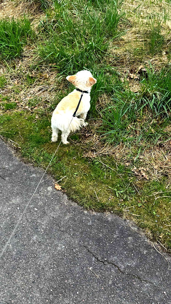 mathilda_bergs image ~ Altpins