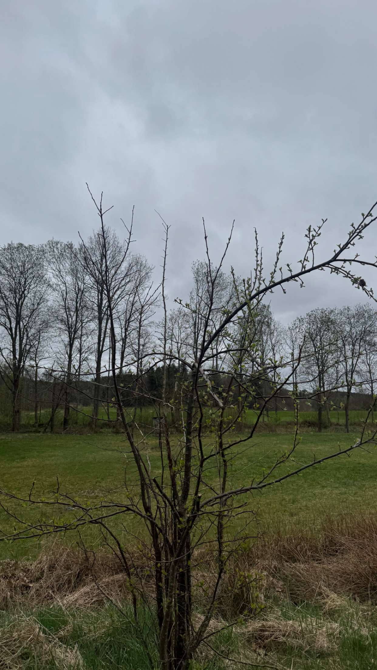 mathilda_bergs snapchat image archive image