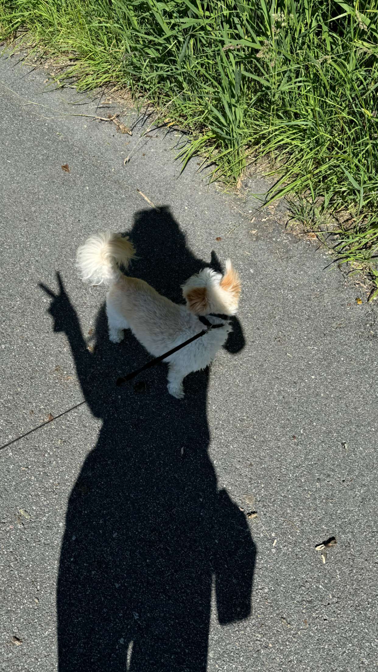 mathilda_bergs snapchat image archive image