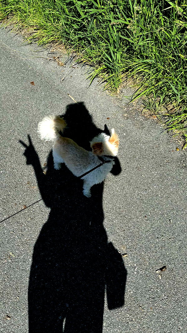 mathilda_bergs image ~ Altpins