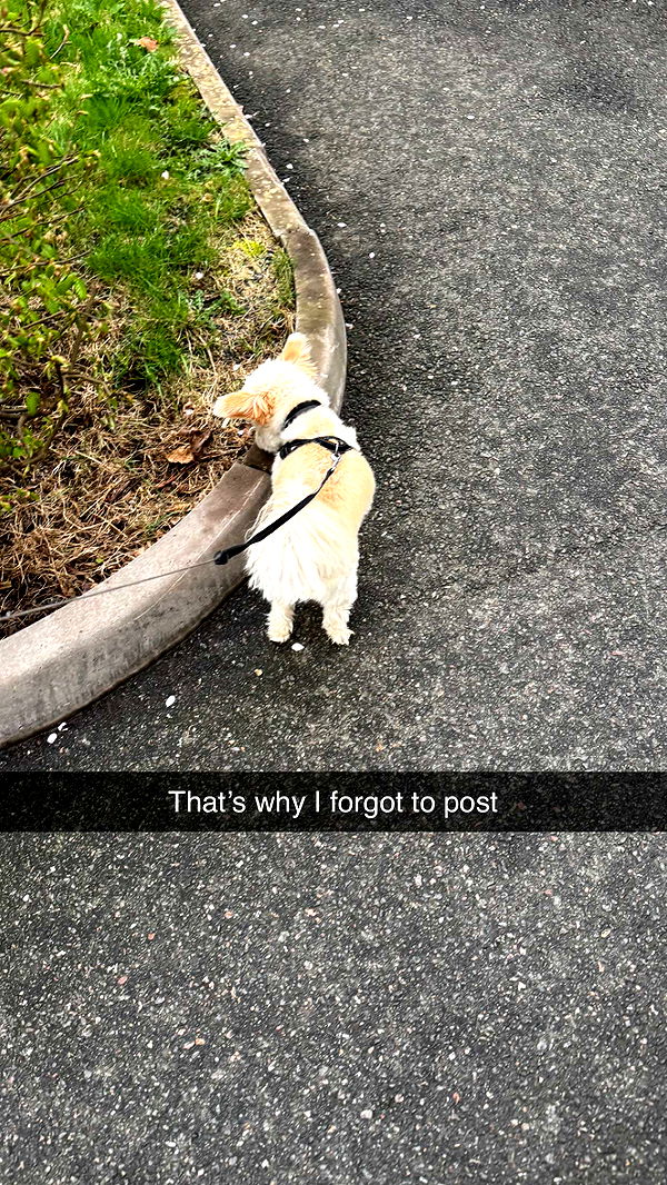 mathilda_bergs image ~ Altpins