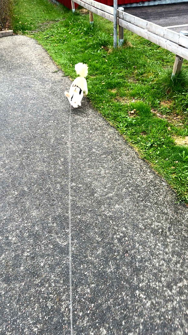 mathilda_bergs image ~ Altpins