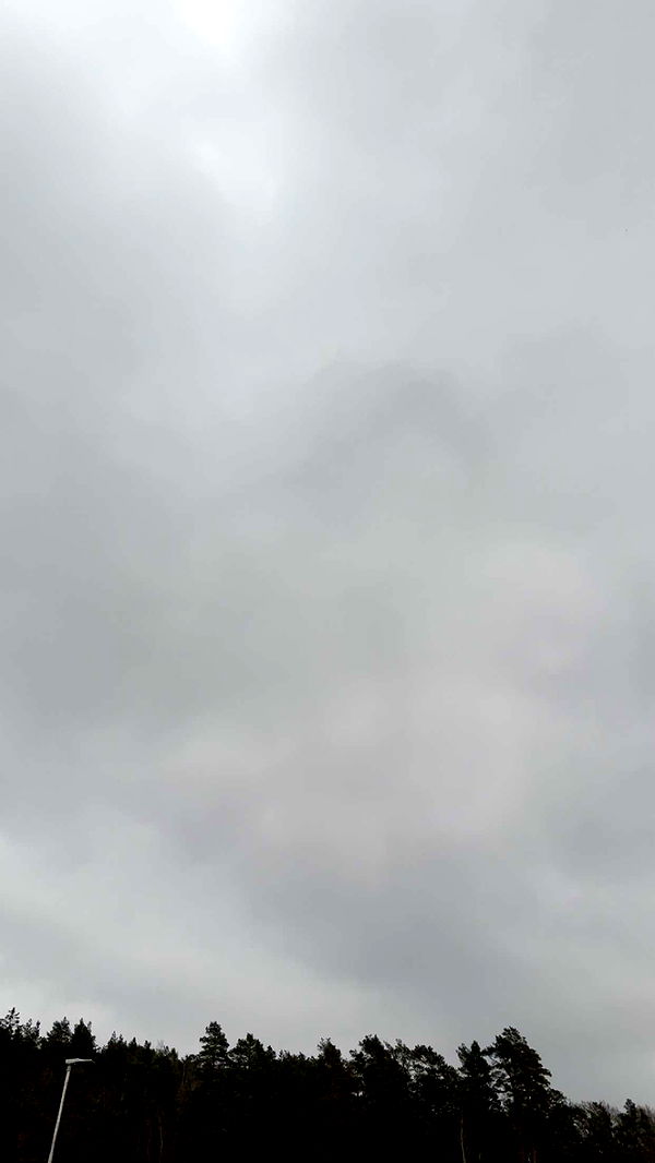 mathilda_bergs image ~ Altpins