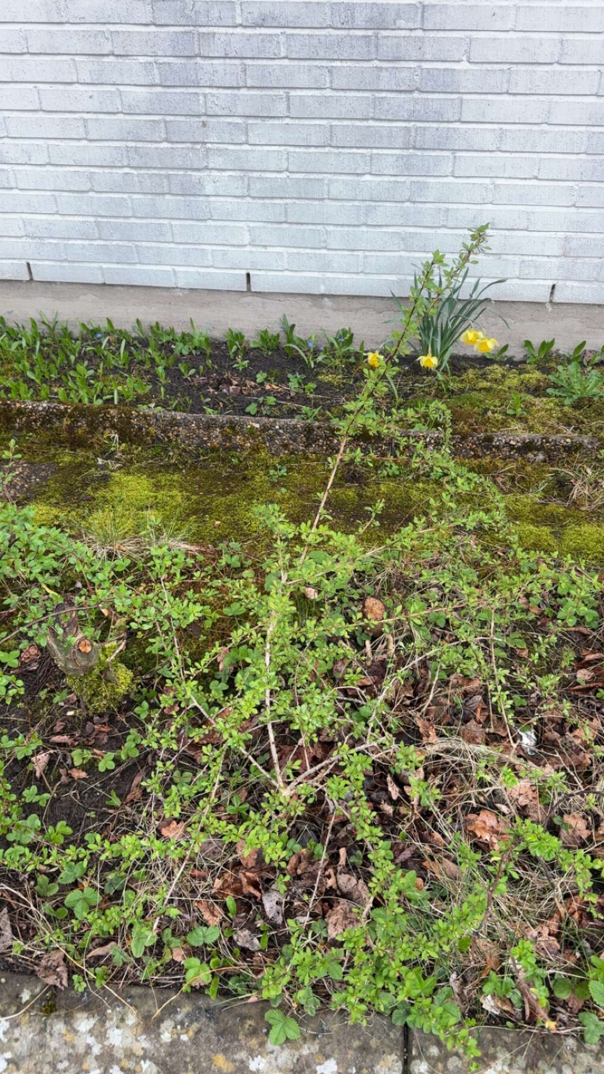 mathilda_bergs snapchat image archive image