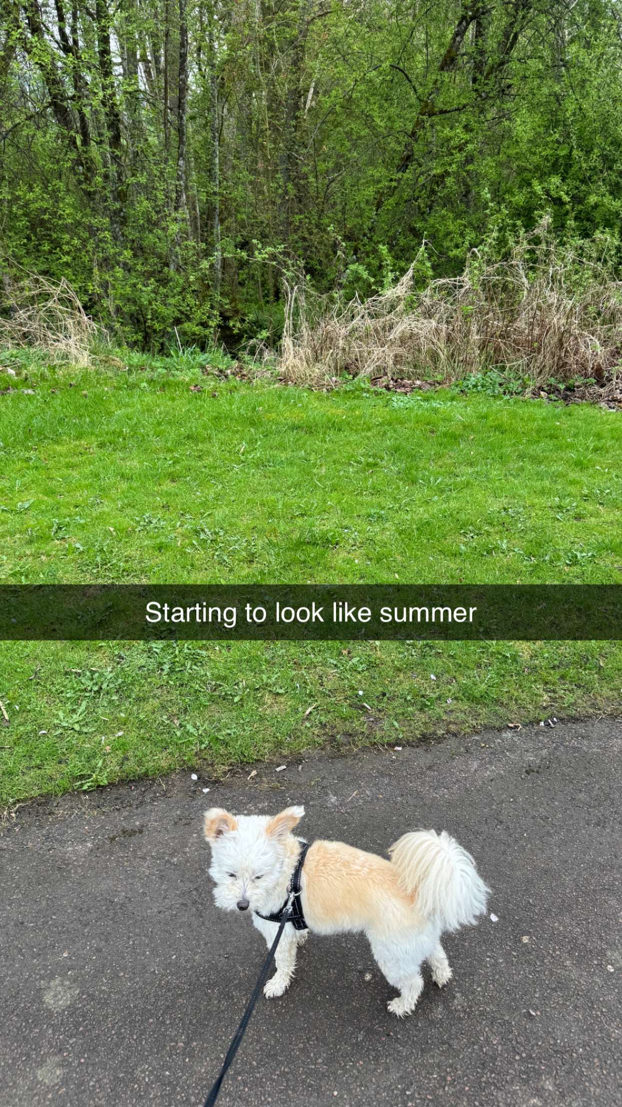 mathilda_bergs snapchat image archive image