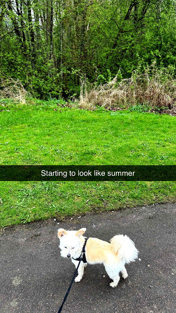 mathilda_bergs image ~ Altpins