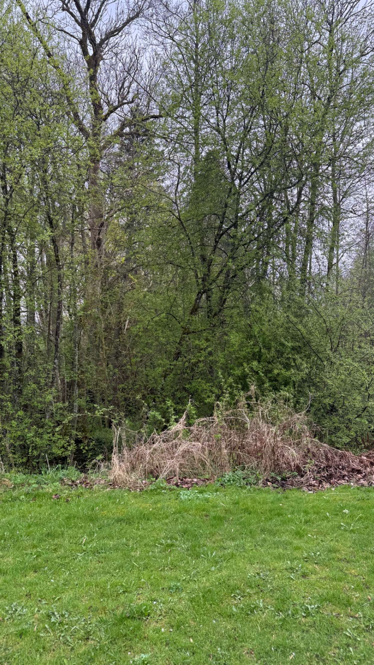 mathilda_bergs snapchat image archive image