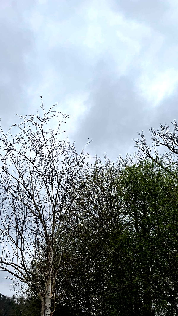 mathilda_bergs image ~ Altpins