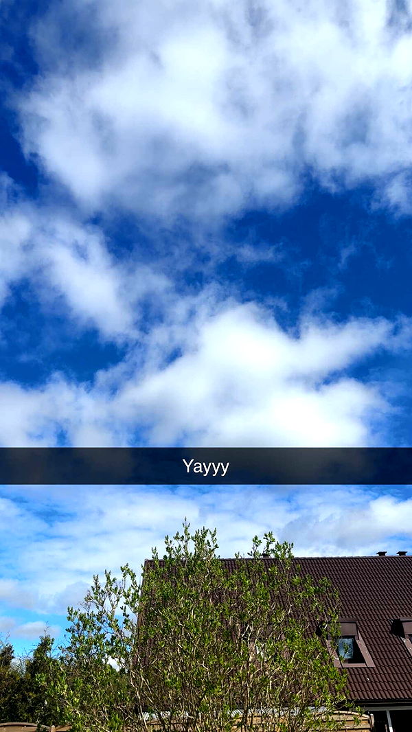 mathilda_bergs image ~ Altpins