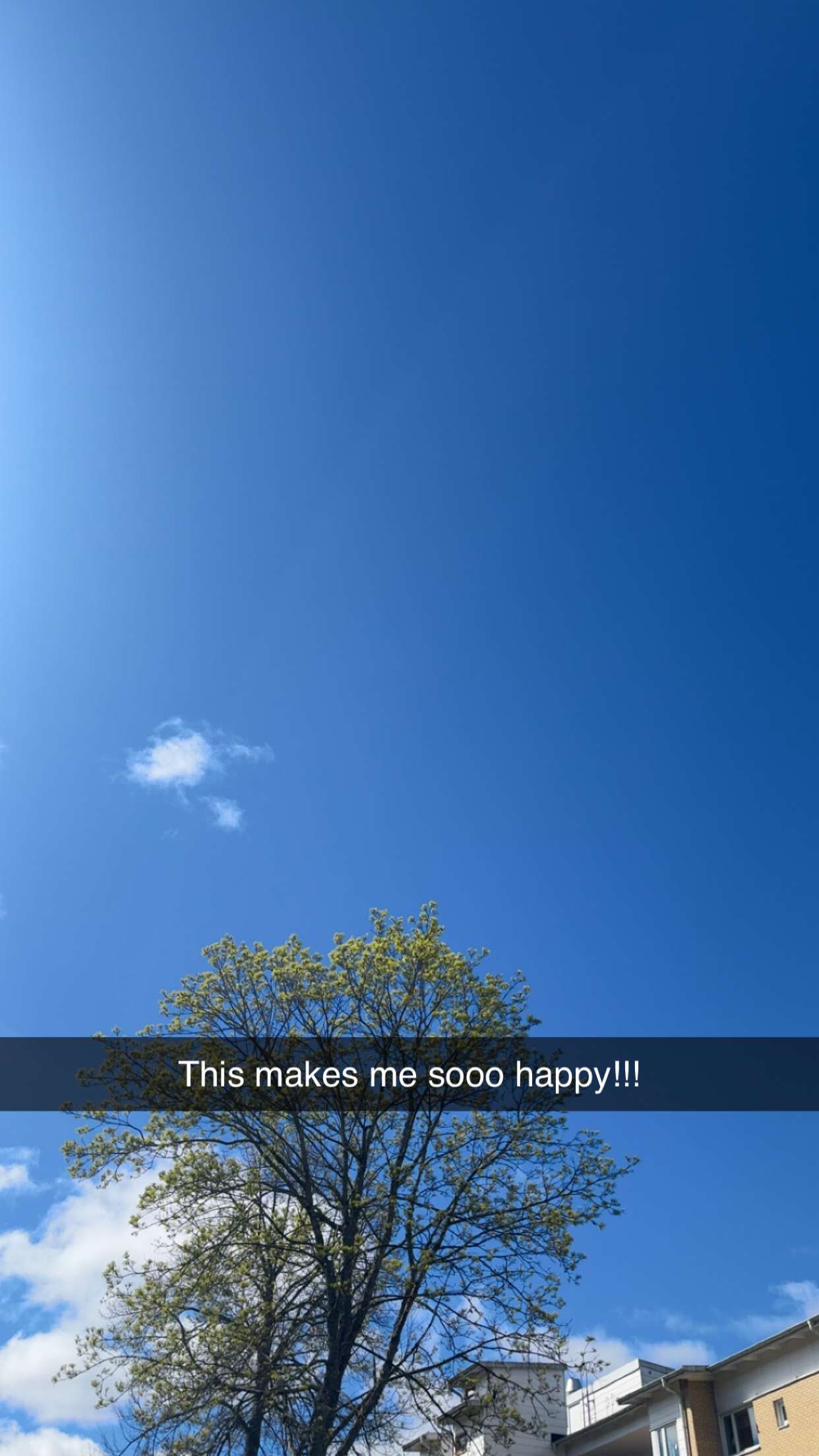 mathilda_bergs snapchat image archive image